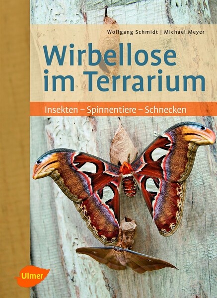 Tabelle der Wirbellosen