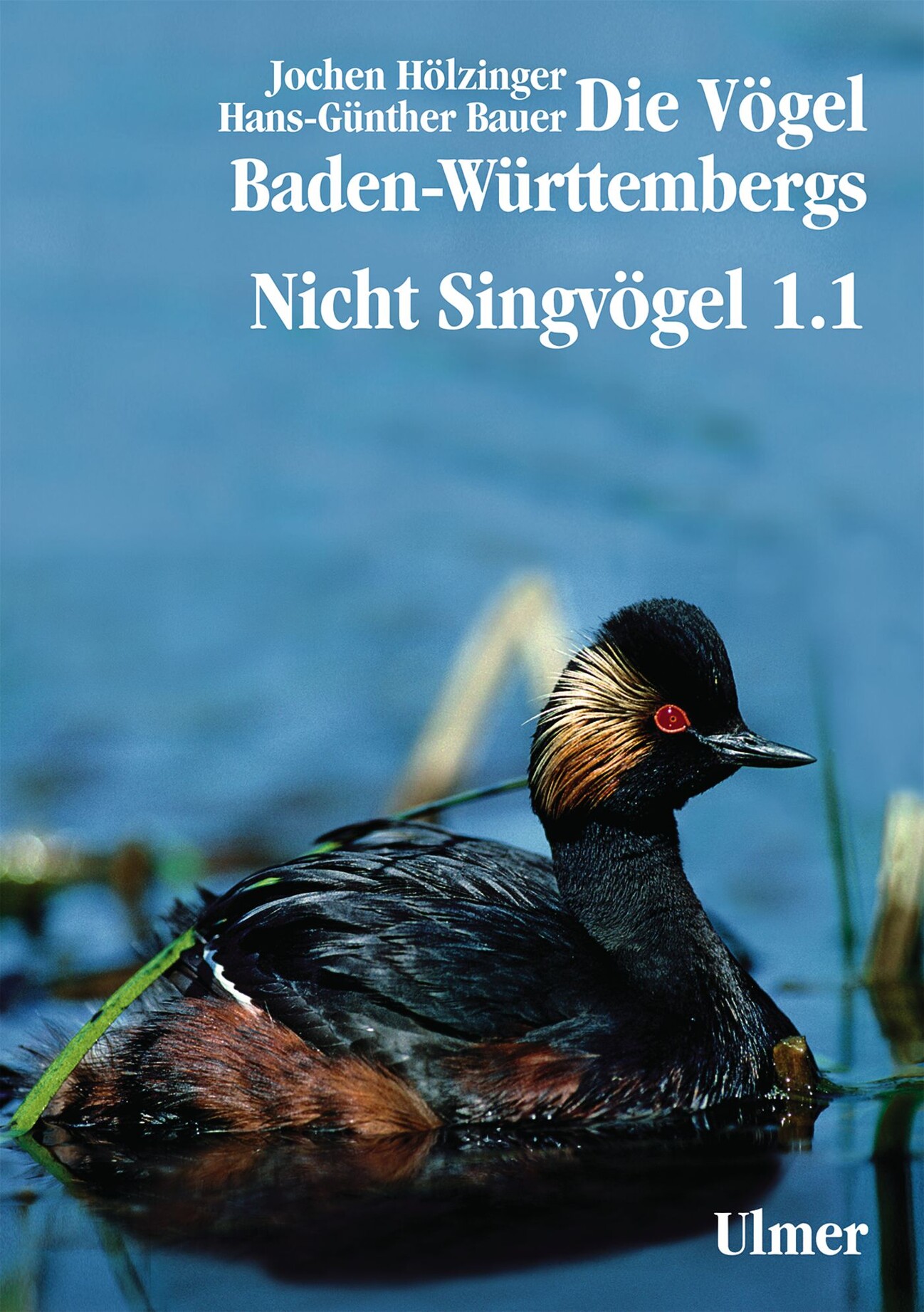 Die Vögel Baden-Württembergs Band 2.0 - Nicht-Singvögel1.1 - Verlag ...